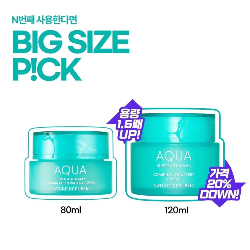Nature Republic Super Aqua Max Combination Moisture Cream (for Combination Skin), 120ml, 1 Unit
