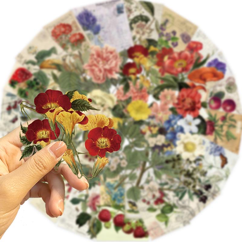 50PCS Transparent Flower Stickers Cute Vintage Transparent Floral Plant Decorative Decals for Scrapbook Laptops DIY Sticker Toy