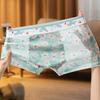 Transparent Mesh Boxer Shorts Ultra Thin See Through Underwear Flat Pants Male  Summer Season