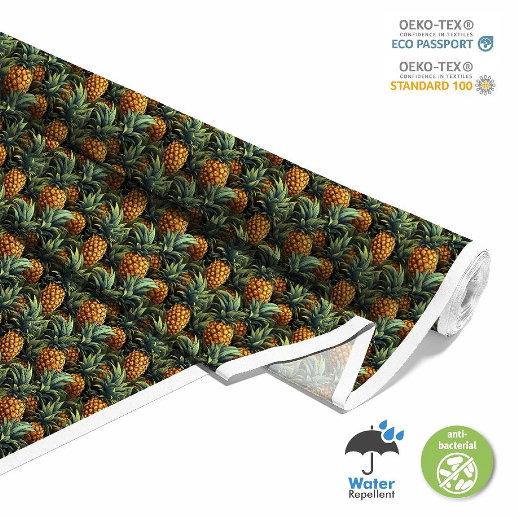 Outdoor Dekostoffe Oxford - Motiv Obst | Dx6808