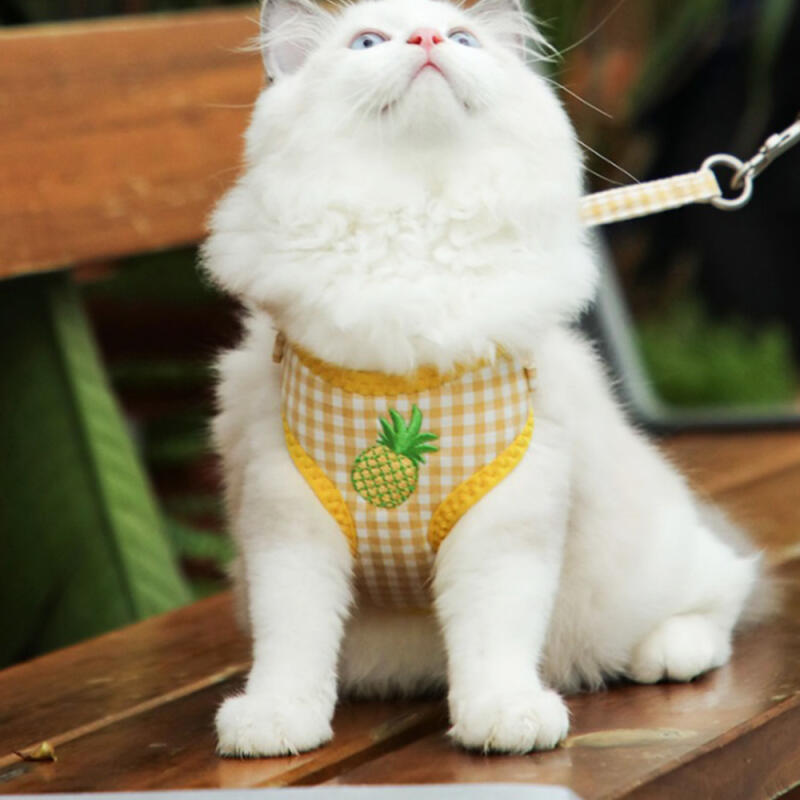 Check Pocket Harness Dog Walking Leash for Companion Dogs Mint