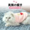 Autumn and Winter New Pet Clothes Cat Two-legged Fleece Coat Coral Fleece Cat Manufacturer Thickened Warm Pet Clothing