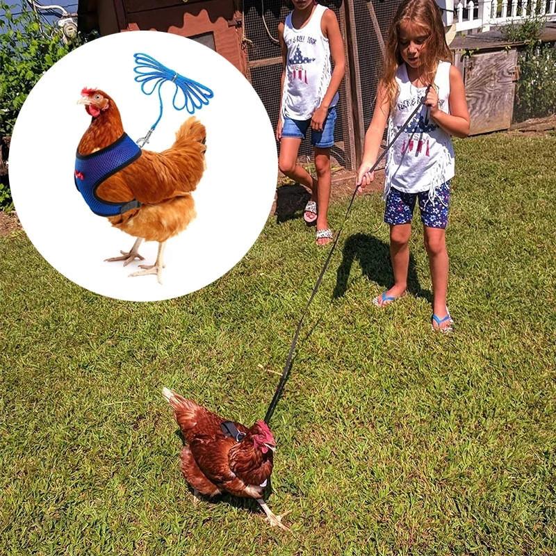 Chicken and Duck Leash Pet Leash New Pet Dog Leash