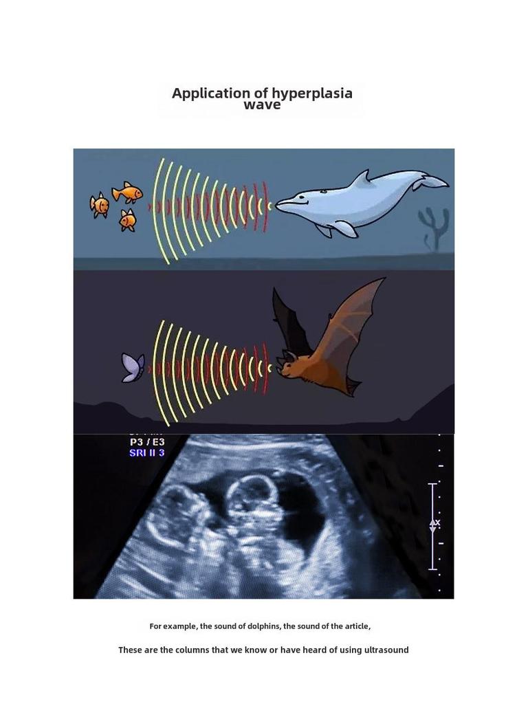 Ultrasonic Therapy and Beauty Device – Full Body Massage with Probe