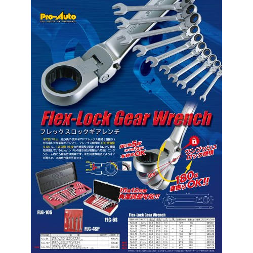 Pro-Auto 10-Piece Flex Lock Gear Wrench Set FLG-10S