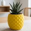 Self-Contained Realistic Fruit Flower Pot Plastic Flower Container Planter Holder  Placement Easy