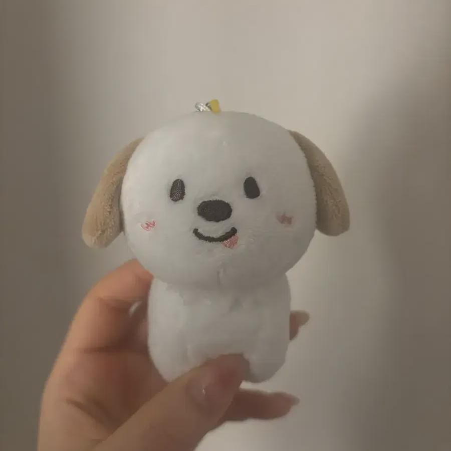 

Riize 10 Doll Chanyoung The Dragon