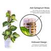 Moss Pillar Moss Scaffold Plant Climbing Stereotype Column High Quality Plant Climbing Fixed Column