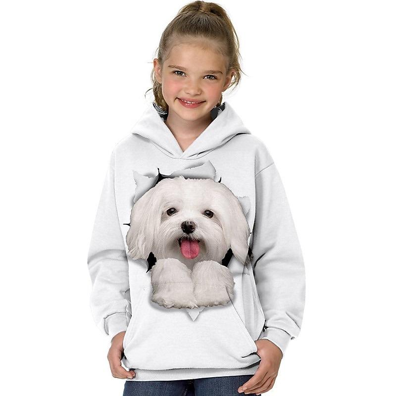 Girls' 3D Animal Cat Hoodie Long Sleeve 3D Print Spring Fall Winter Fashion Streetwear Adorable Kids 3-12 Years Outdoor Daily Indoor Regular Fit
