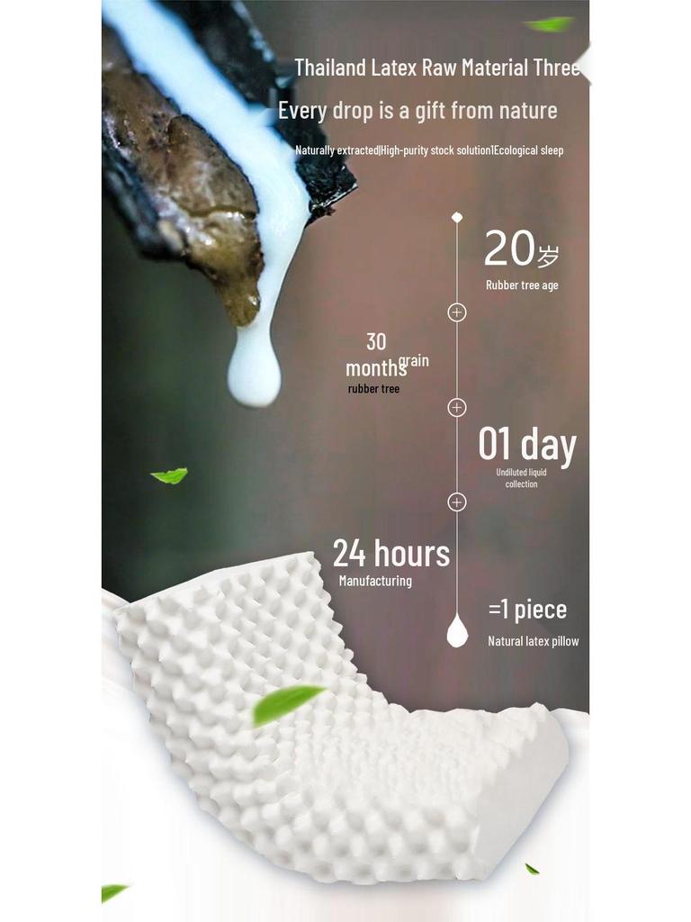 Almohada de Látex Natural Tailandés 38x58cm - Disponible Individual o en Pareja