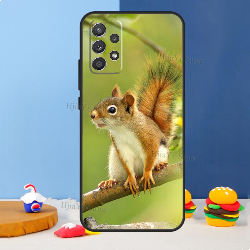 Squirrel Case For Samsung A54 A34 A14 A13 A23 A33 A53 A73 A51 A71 A72 A12 A22 A32 A42 A52 Back Cover