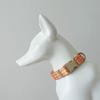 Dog Collar Lovely Pumpkin Leash for Large Medium Dogs Harnesses Strong Harvest Theme Leash Long Belt Halloween Theme