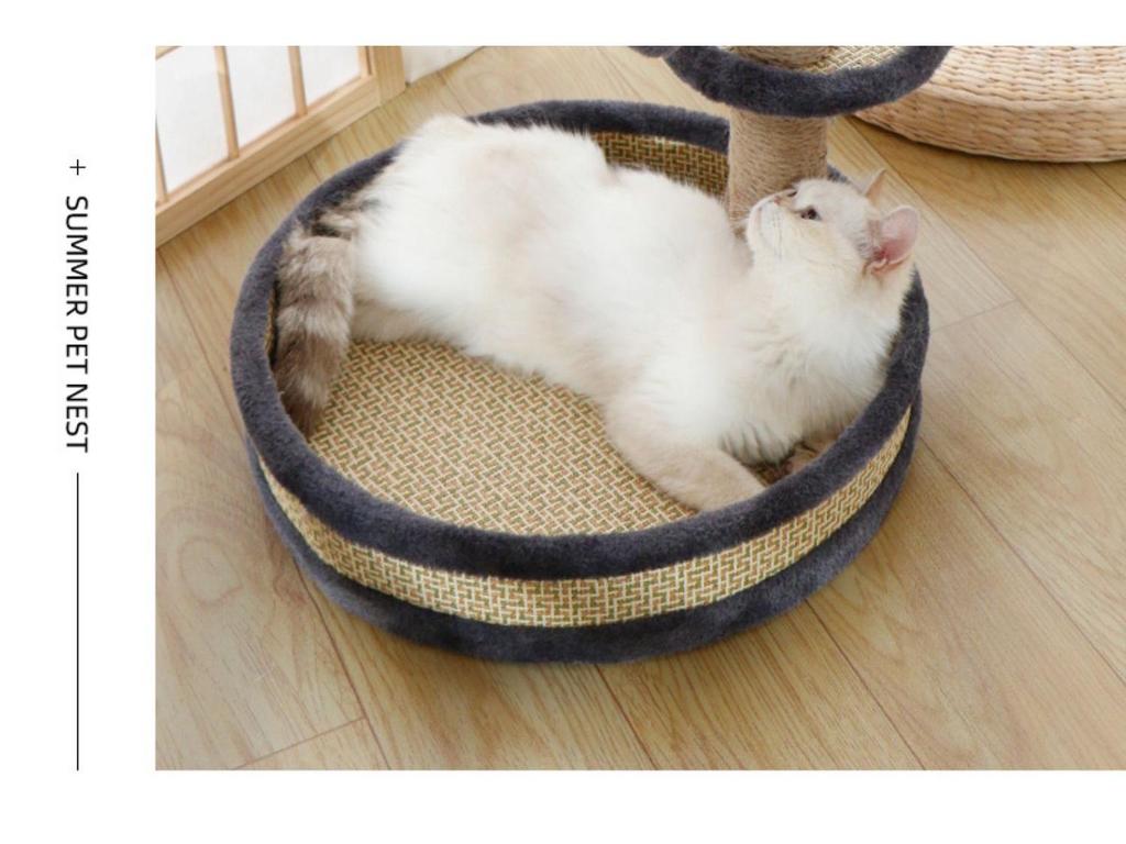 Winter Warm Cat Bed & Scratching Post with Durable Sisal - Vertical Climbing Frame & Toy