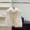 Fox hair back hair car strip fur vest women's short stand-up collar thin new coat moonlight fox hair vest