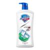 Safeguard Healthy Fresh Mint Shower Gel & Aloe Soap Set