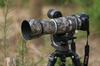 ROLANPRO Waterproof Lens Cover for Canon RF L IS Camouflage Rain Cover 100-500mm F/4.5-7.1 USM, #10, Tree-Shaped