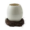 Bird Eggshell Serving Bowl Glossy Ceramic Decoration Bowl for Salad Fruit Display and Home Table Styling Use