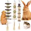 3 pièces Jouet à mâcher Lapin pour les dents Boule de foin Bloc de bois Mastications d'herbe Sûr et Naturel pour Hamsters Cobayes Gerbilles