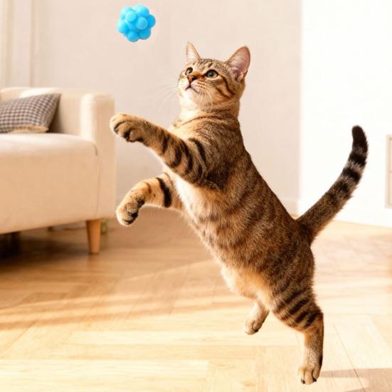 Hüpfender Katzenspielzeugball mit elastischem Rückprall TPR Multi-Winkel-Kauspielzeug für Alleinspiel & Zahnen Selbstunterhaltungsspielzeug für Kätzchen Erwachsene Katzen
