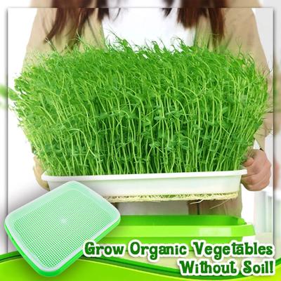 Hydroponic Home Gardening System Seedling Tray Double-layer Soilless Cultivation