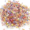 Holografiska Grova Glitters Paljetter Bokstäver Runda Glitter för Glittriga Hantverk Hartsaccessoarer Nagellackstillbehör Dekorera