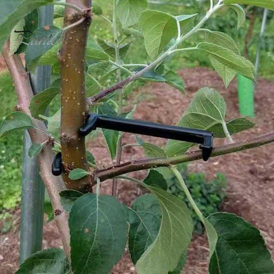 10 Pezzi Fissatore Universale Impermeabile Resistente per Rami Fissatore per Rami di Melo Strumento da Cortile