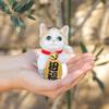 Figurine Cat Ornament for Business Protection from Protection from Good Increased Attracting Good for Grand New Miscellaneous Object Calico Cb040m