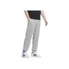 Adidas Neo Unifarbene Schnür-Freizeit-Tapered-Strick-Sporthose Herren Unterteile Grau IK2451