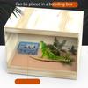 Reptile Food Dish Anti-Escape Crested Gecko Food Dish Small Animal Feeders For Spider Lizard Tortoise Cage Tank Chameleon