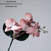 Starry Sky Milk Tea Phalaenopsis Orchid with Leaves - INS Style Faux Flower for Home Decor and Weddings