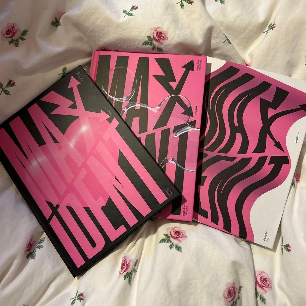 [USED] Stray Kids Album Stray Kids Maxident