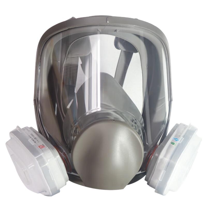 Puda KN95 Chemical Protective Full-Face Mask Kit