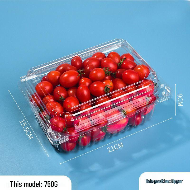 Clear Plastic Disposable Fruit Box with Lid for Strawberries