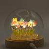 Floral Glow Garden Dome – 20 Multi Tulips – LED USB