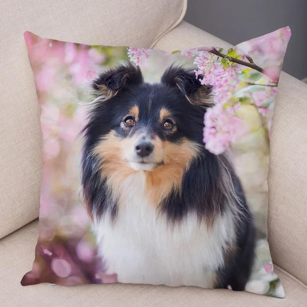 Cute Scottish Border Collie Pillowcase Dog Print Decor Pet Animal Cushion Cover Sofa