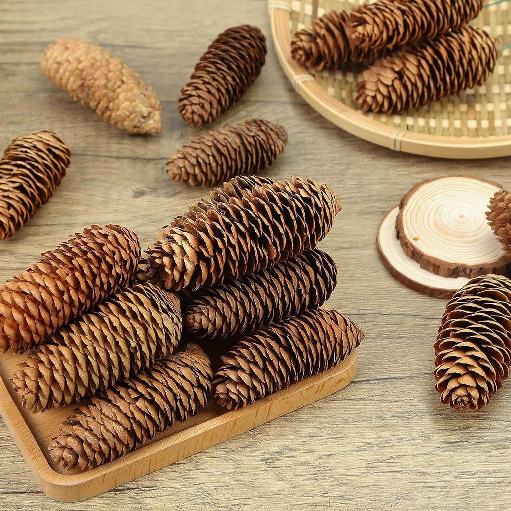 Christmas Natural Pinecone Ornaments Big Spruce Pine Cones for Autumn and Winter Decor Christmas Decorations 10pcs