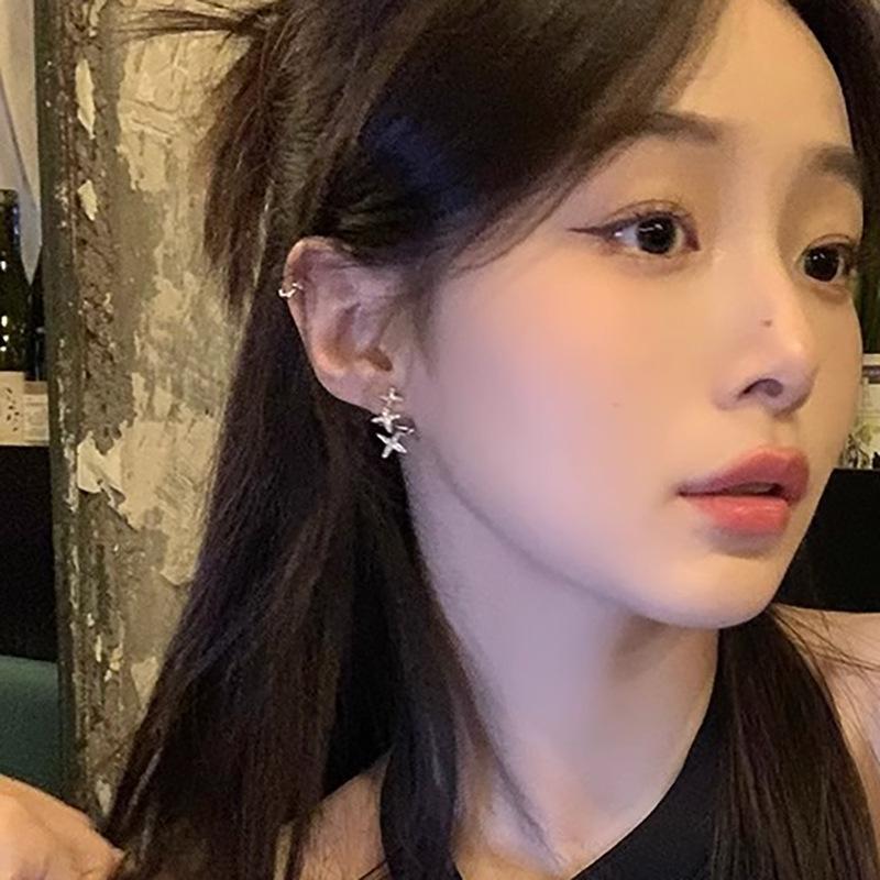 Shining Star Stud Earrings Women's Light Luxury Niche Temperament Zircon Earrings