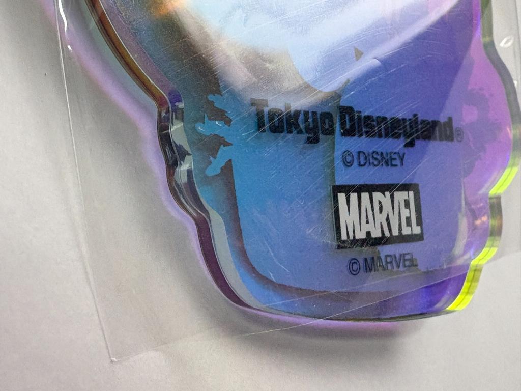 Tokyo Disney Resort Its Small World Groot Keychain Marvel Japan