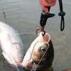 Portable Fishing Gripper Stainless Steel Fish Lip Grip Handle Catch Carp Fishing Lip Grip Fishing Tool Fishing