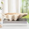 Retro Storage Trays Shell-shaped Fruit Plate Creative Decorative Table Center Tray Nordic Kitchen Organizer Home Furniture