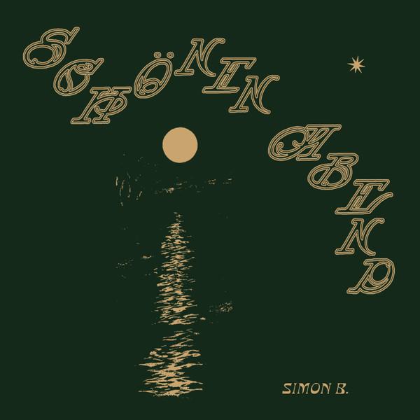 LP Record SIMON BEECKAERT - Schonen Abend  SFIC005 Souvenirs From  2025 Belgium Dance & Electronica