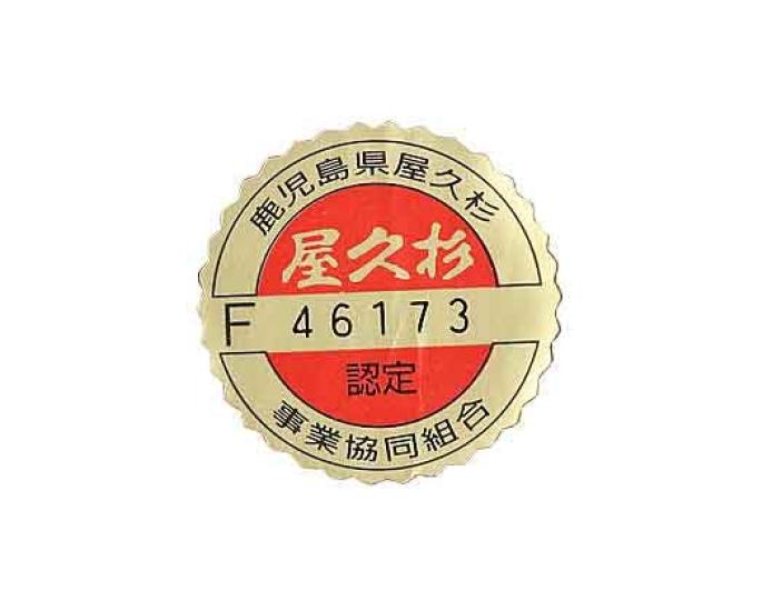 Premium Yakusugi 22cm Yakusugi Made In Japan Chopsticks, [Natural Wood/Gift Box]