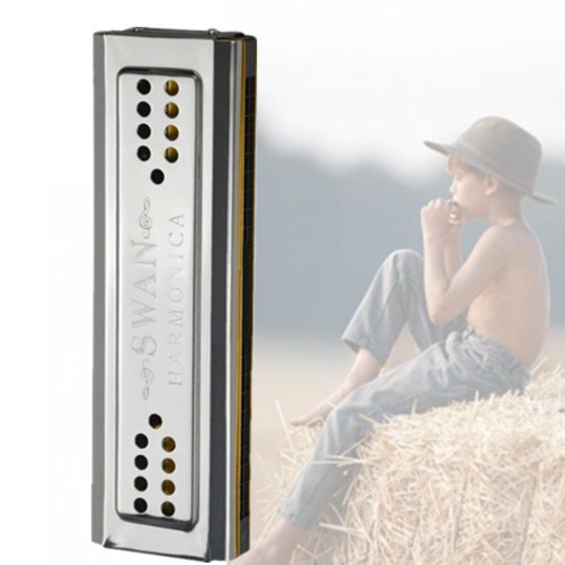 24-hole C&G Double-sided Tremolo Harmonica Playing Harmonica Beginner Self-taught Advanced Wind Instrument