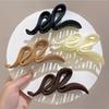 Encounter Maillard Frosted Large Claw Clip: Luxury Shark Hair Accessory for Women 2024