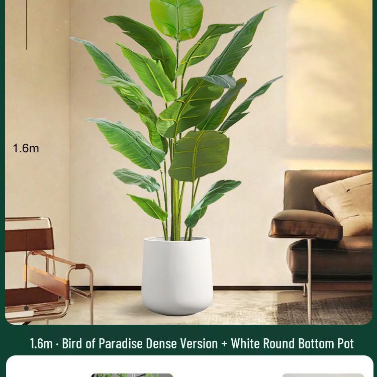 High-End Indoor Bird of Paradise Decor: Luxury Potted Traveler's Palm