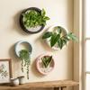 Plastic Wall-mounted Flowerpot Space Saving Plant Container Hydroponic Vase  Office Display