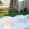 Large Pop-Up White Mesh Food Cover Tent - Foldable, Washable, Transparent Mesh, Ideal for Outdoor Picnics, BBQs, & Parties, Protects From Insects
