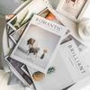 Ins Stil Enkel Engelsk Magasin Skydning Baggrund Fotografi Hjemmeindretning Bog Live Foto Rekvisitter Dekorative Ornamenter