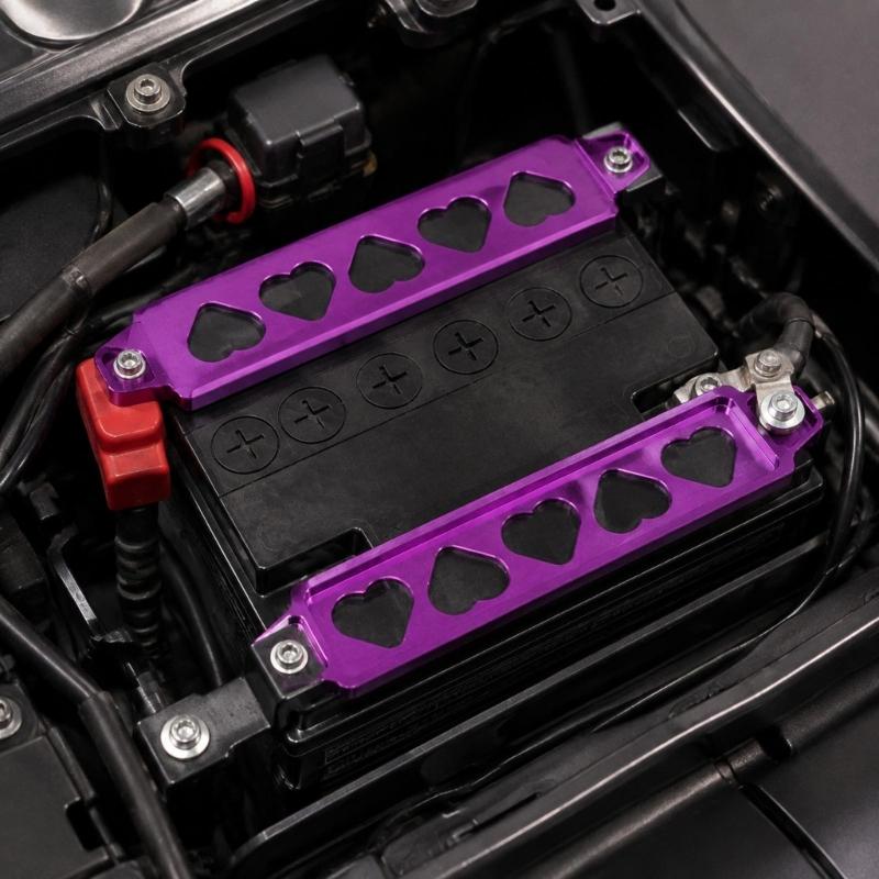 Anodized Metal Battery Hold Down Bracket Kit for Car or Motorcycle, Secure Battery Mounting Bars for Service Use