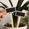 Board Seedling Tags Classification Plant  Markers Plants  Signs Plant Tags Garden Decoration Tools